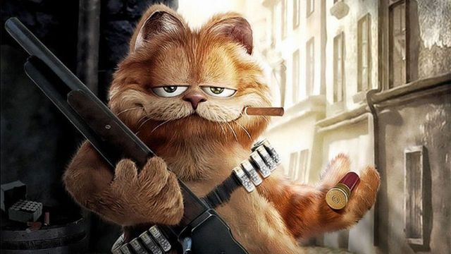 Cat 2