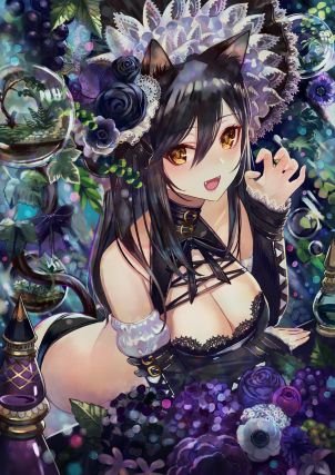 Neko 6