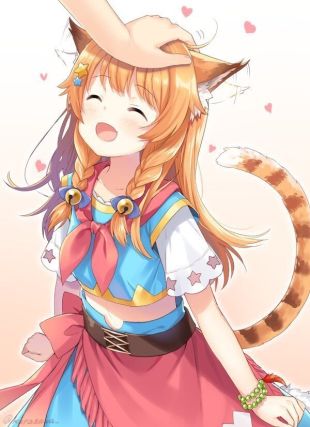 Neko 5