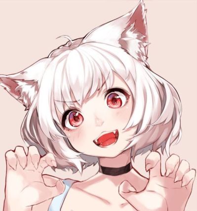 Neko 6