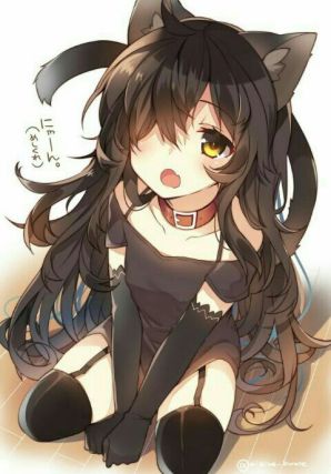 Neko 1