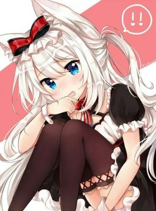 Neko 1