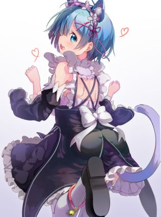 Neko 6