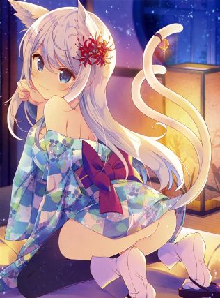 Neko 9