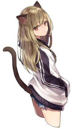 Neko 1