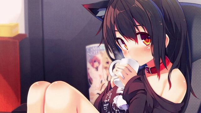 Neko 1