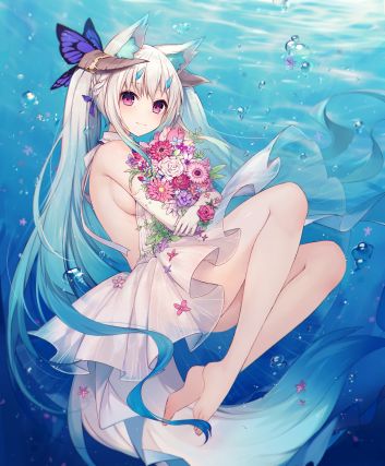 Neko 1