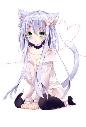 Neko 6