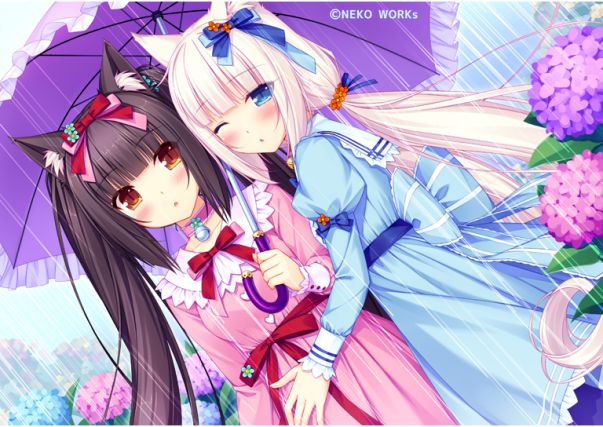 Neko 5