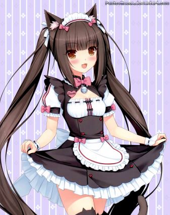 Neko 1