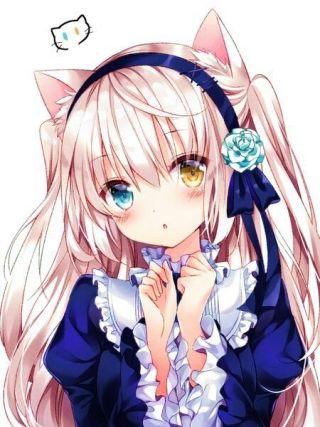 Neko 5