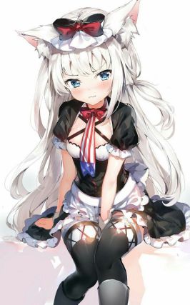 Neko 5