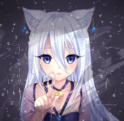 Neko 6