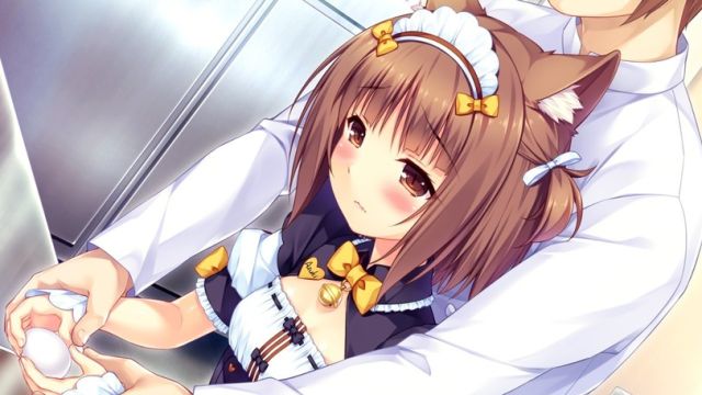 Neko 1