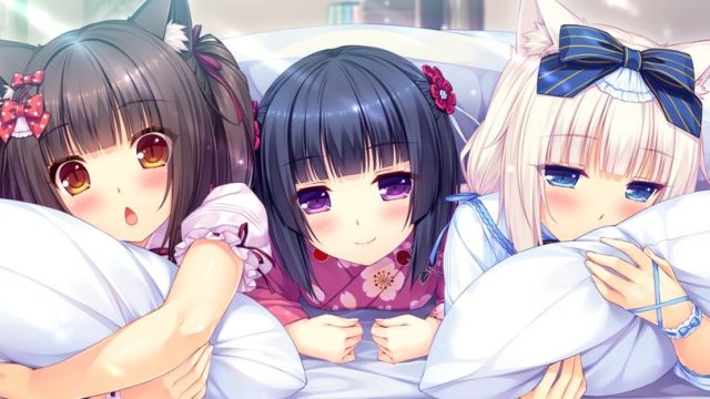 Neko 5