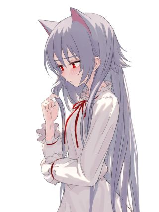 Neko 1