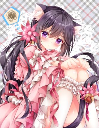 Neko 6